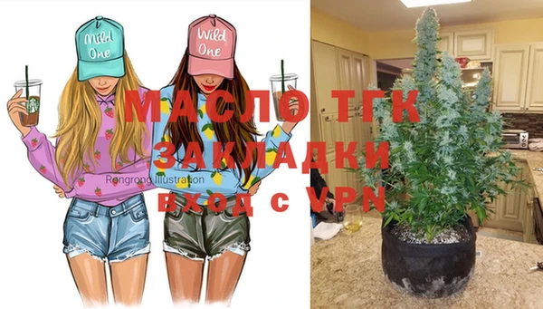 стаф Сатка